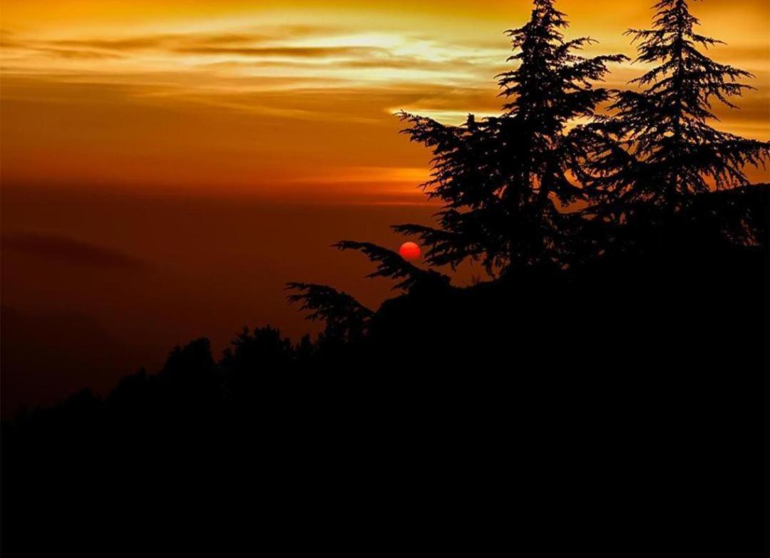 The Heritage Home Kasauli I Pine View Serviced Villa I Best Seller I Vacations I Family Events I Sky Bonfire I Kasauli By Exotic Stays Exteriör bild
